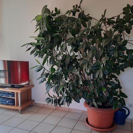Ferienwohnung Ferstl Riedenburg Eksteriør billede